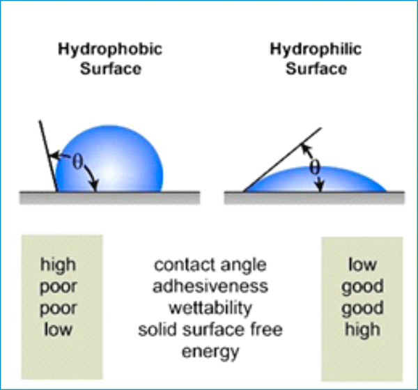 Comparison between hydrophobic and hydrophilic surface characteristics.