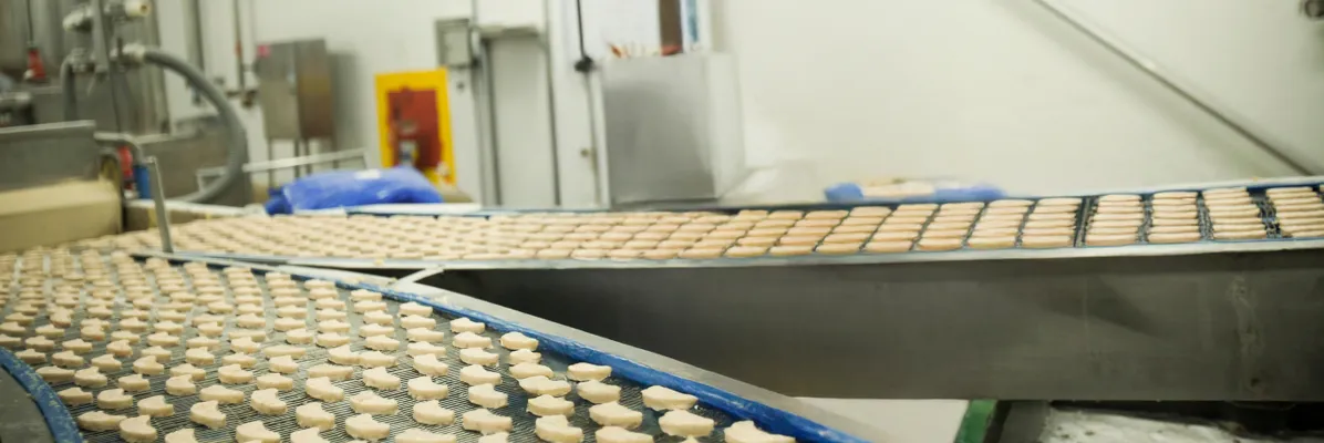 Sanitary food processing conveyor belts moving cookies through a commercial bakery facility.